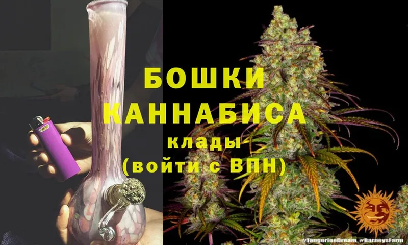 Канабис SATIVA & INDICA  Балахна 